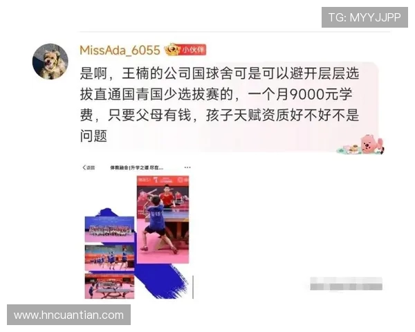 成都乒乓球队实力解析：从青训到职业选手的全面发展之路