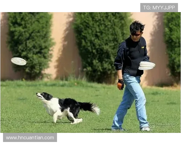 重庆飞盘队在极限运动世界杯上的拼搏历程与荣耀时刻分享