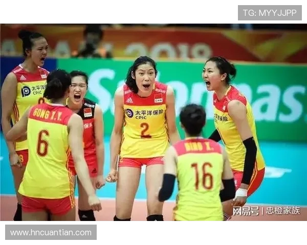 杭州排球队夺冠最新排球灵活性排行榜前十名分析