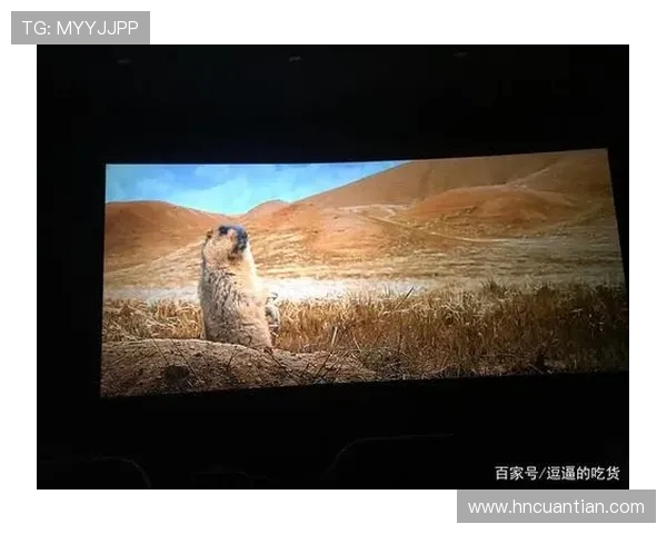 极限运动的挑战与激情吴静分享她的冒险人生与成长故事